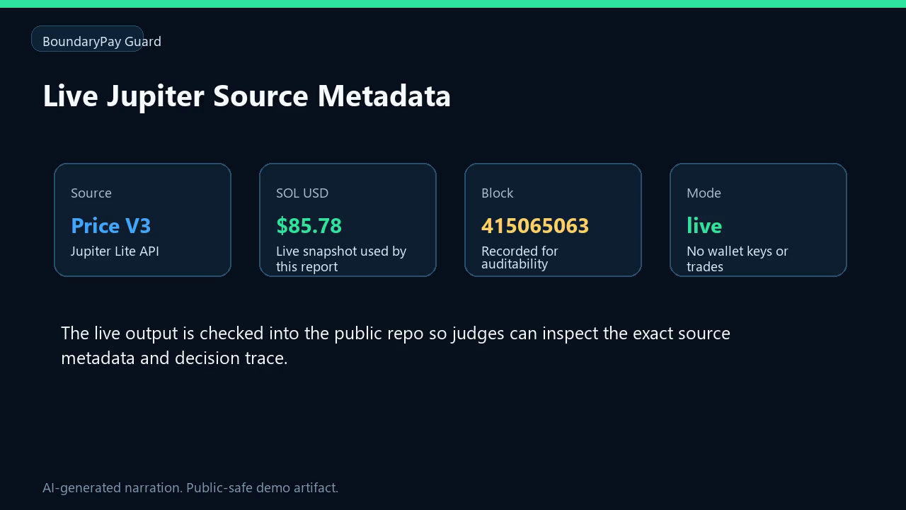 BoundaryPay Guard product demo preview